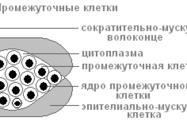 Новая ссылка на кракен