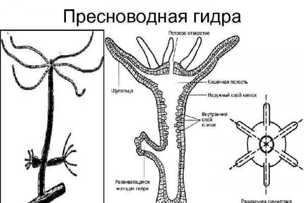 Кракен маркетплейс ссылка на сайт