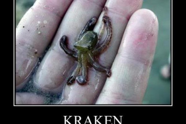 Kraken тор k2tor